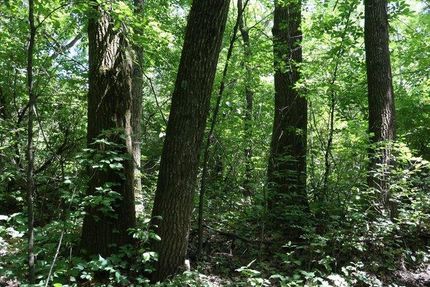 Hunting Property in Dane County, Wisconsin