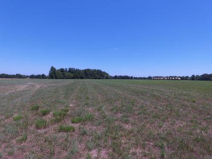 Hunting Property in Red River County, Texas