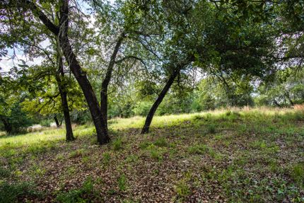 Undeveloped Land in Gonzales County, Texas