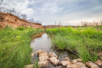 Timberland Property in Armstrong County, Texas