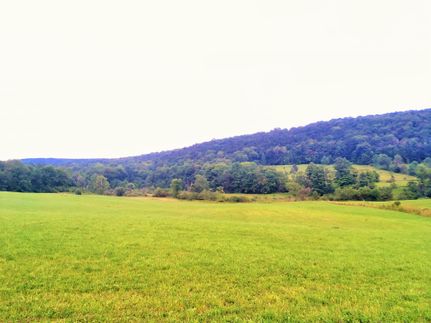 Hunting Property in Cortland County, New York