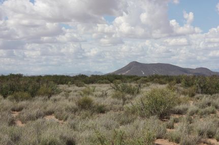 Undeveloped Land in Luna County, New Mexico