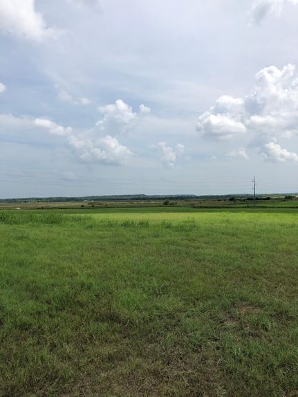 Undeveloped Land in Milam County, Texas