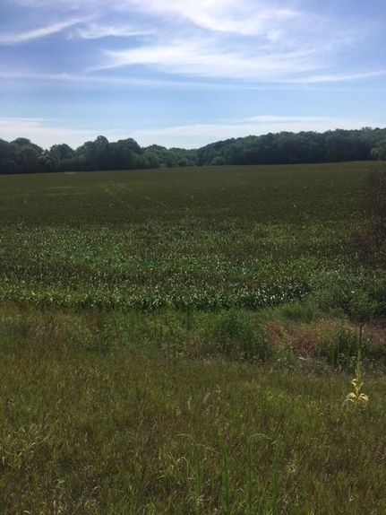 Riverfront Property in Buchanan County, Missouri