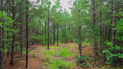 Farm and Ranch in York County, South Carolina