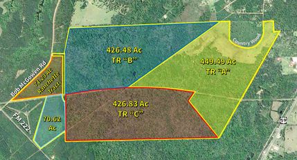 Undeveloped Land in San Jacinto County, Texas