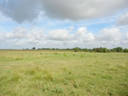 Undeveloped Land in Waller County, Texas