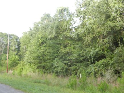 Undeveloped Land in Waller County, Texas