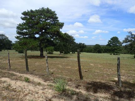 Undeveloped Land in Caldwell County, Texas