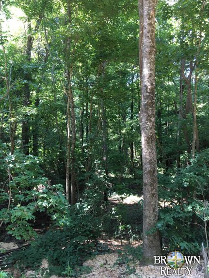 Land in Ashley County, Arkansas
