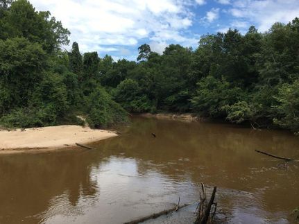Farm and Ranch in Crenshaw County, Alabama
