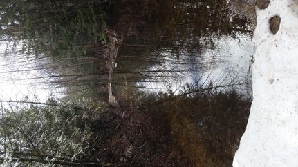 Riverfront Property in Bonner County, Idaho