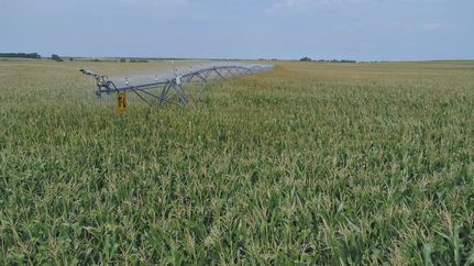 Land in Kearney County, Nebraska