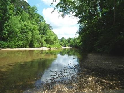 Recreational Property in Franklin County, Mississippi
