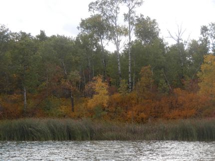 Lakefront Property in Bottineau County, North Dakota