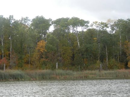 Waterfront Property in Bottineau County, North Dakota