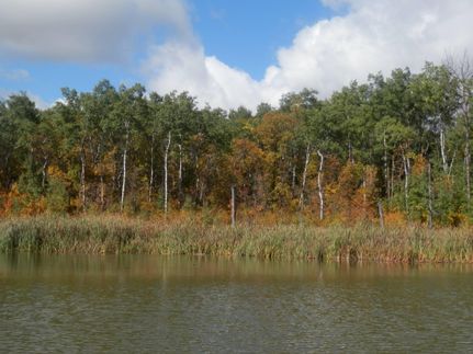 Homesite in Bottineau County, North Dakota