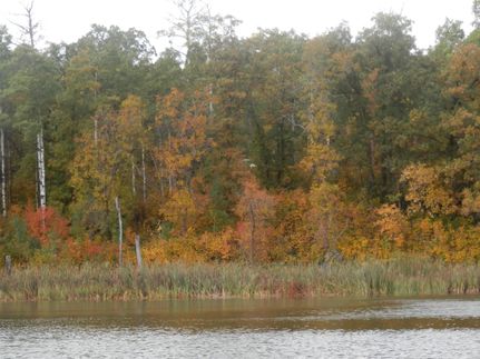 Lakefront Property in Bottineau County, North Dakota