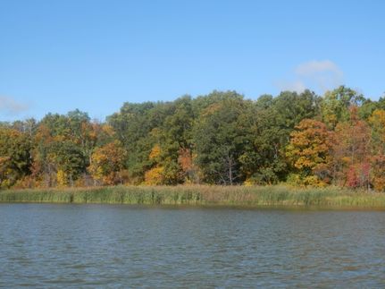 Homesite in Bottineau County, North Dakota