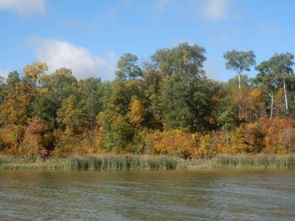 Land in Bottineau County, North Dakota