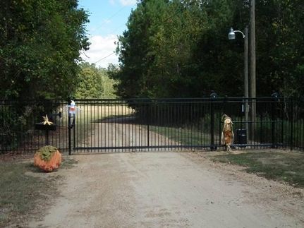 Timberland Property in Lowndes County, Mississippi