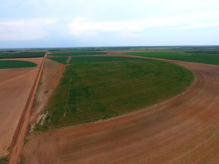 Undeveloped Land in Haskell County, Texas