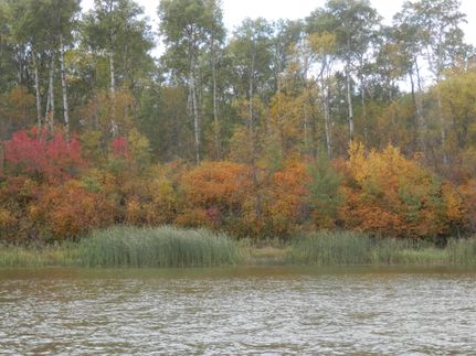 Recreational Property in Bottineau County, North Dakota