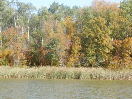 Land in Bottineau County, North Dakota