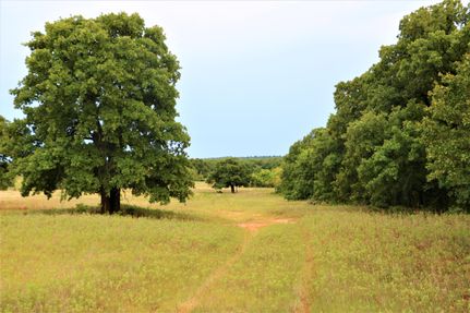 Farm and Ranch in Montague County, Texas