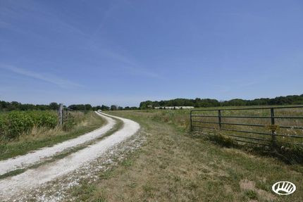 Timberland Property in Fulton County, Illinois