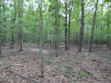 Land in White County, Arkansas