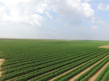 Recreational Property in Haskell County, Texas