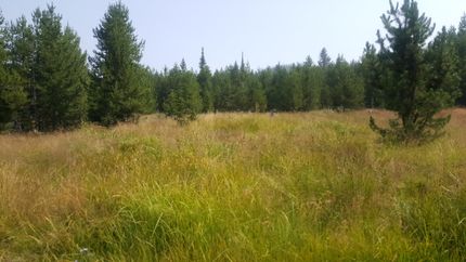 Timberland Property in Lake County, Montana