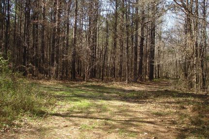 Land in Hale County, Alabama