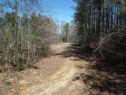 Farm and Ranch in Kemper County, Mississippi