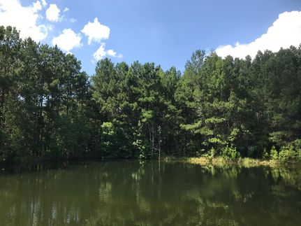 Timberland Property in Edgefield County, South Carolina