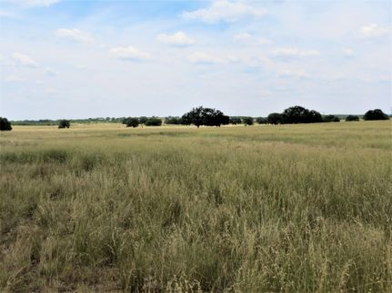 Timberland Property in Menard County, Texas
