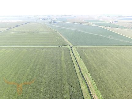 Farm and Ranch in Christian County, Illinois