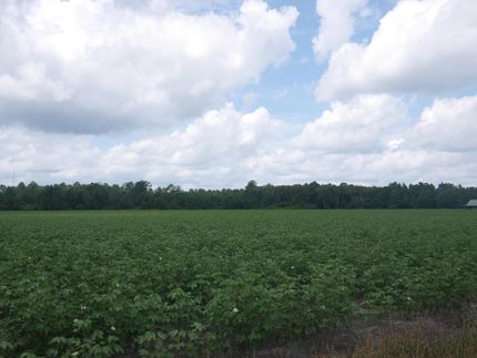 Farm and Ranch in Bulloch County, Georgia
