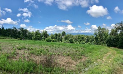 Timberland Property in Juniata County, Pennsylvania