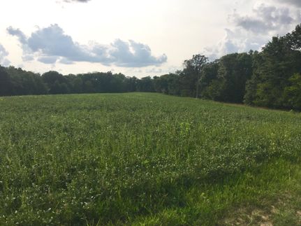 Timberland Property in Pike County, Missouri