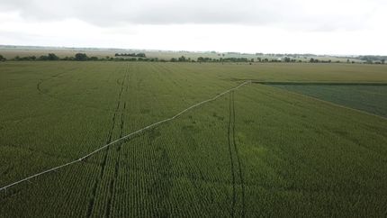 Farm and Ranch in Henry County, Illinois