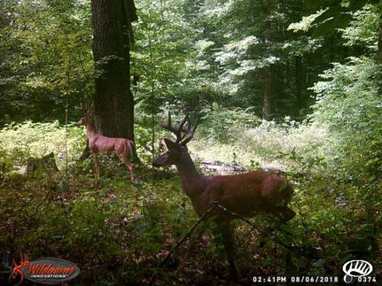 Farm and Ranch in Dickson County, Tennessee