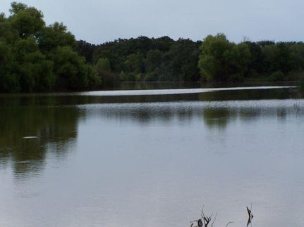 Farm and Ranch in Young County, Texas