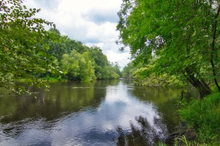 Recreational Property in Bamberg County, South Carolina