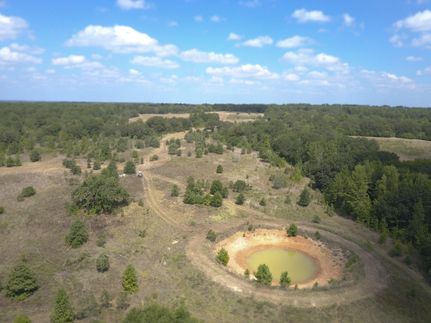 Farm and Ranch in Freestone County, Texas