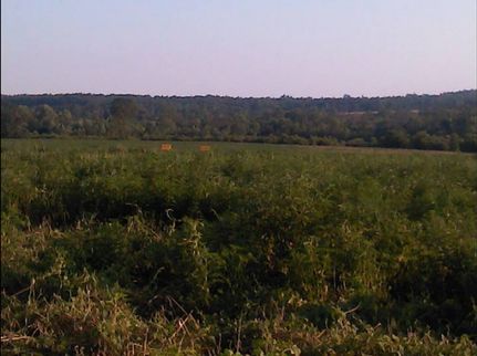 Farm and Ranch in Aiken County, South Carolina