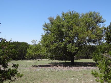 Farm and Ranch in Gillespie County, Texas