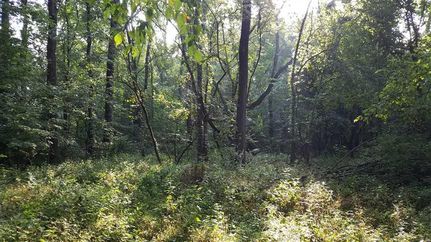 Farm and Ranch in Decatur County, Indiana