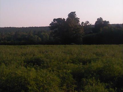 Land in Aiken County, South Carolina